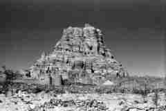 ���� ������ ��� ��� ����